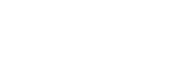 BT Wholesale Partner logo
